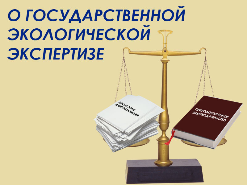 Упрощена процедура повторной ГЭЭ документов, получивших отрицательное заключение