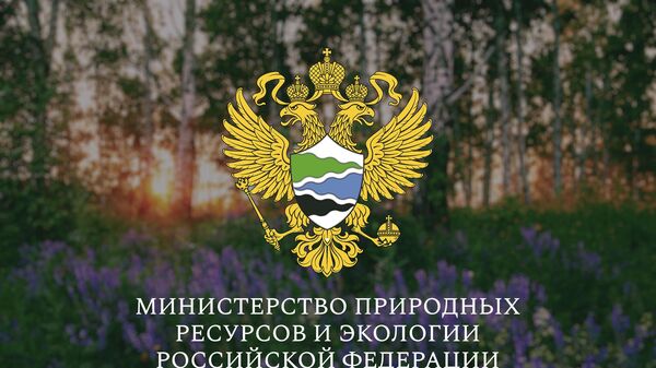 Разъяснения Минприроды по нормативам утилизации в отношении товаров